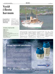 Síða 3