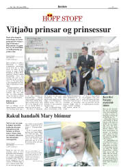 Síða 17