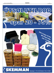 Síða 3