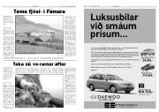 Síða 3