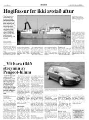 Síða 8