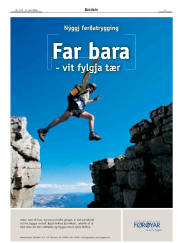 Síða 3
