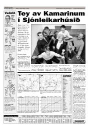 Síða 17