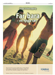 Síða 3