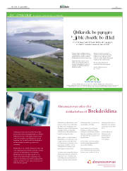 Síða 3