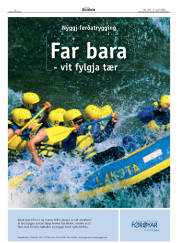 Síða 4