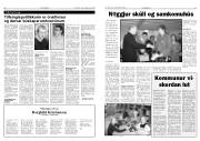 Síða 6