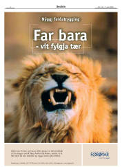 Síða 4
