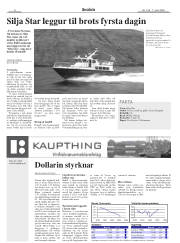 Síða 8