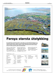 Síða 3
