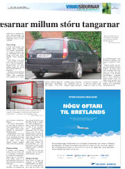Síða 17