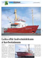 Síða 20