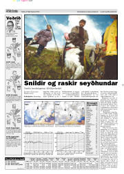 Síða 13
