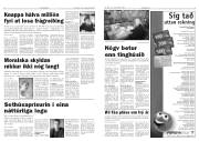 Síða 3