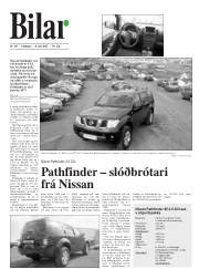 Síða 25