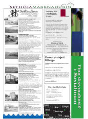 Síða 24