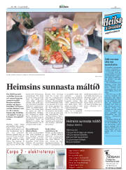 Síða 27