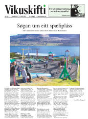 Síða 29