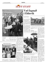 Síða 17