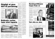Síða 3