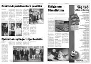 Síða 5