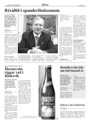 Síða 7