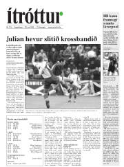 Síða 19