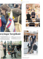 Síða 29