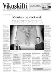 Síða 33