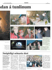 Síða 21