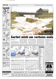 Síða 13