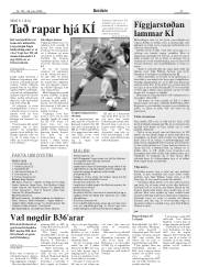 Síða 27