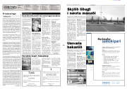 Síða 2