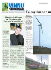 Síða 20