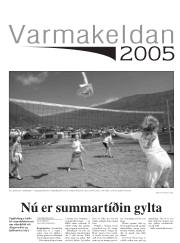 Síða 17