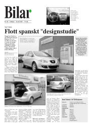 Síða 29