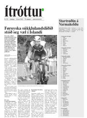 Síða 31
