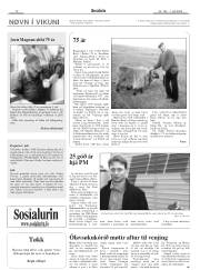 Síða 12