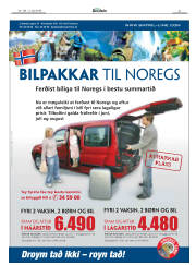 Síða 31
