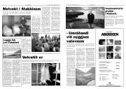 Síða 3
