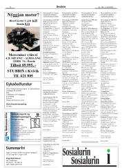 Síða 14