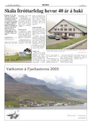 Síða 17