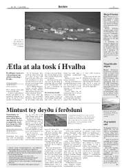 Síða 9