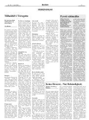 Síða 11