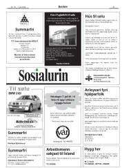 Síða 29