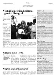 Síða 17