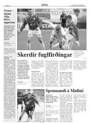 Síða 22