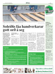 Síða 25
