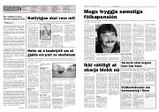 Síða 2