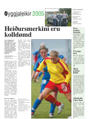 Síða 17